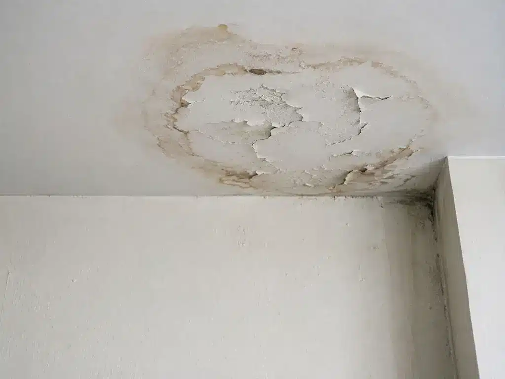 Auréole d'humidité localisée au plafond