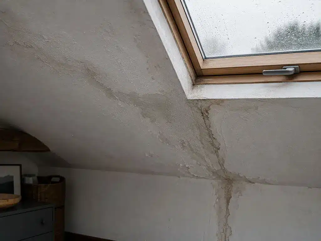 Infiltration d'eau au plafond sous toiture